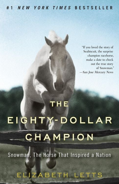 Produktbild: The Eighty-Dollar Champion