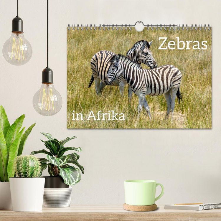 Produktbild: Zebras in Afrika (Wandkalender 2026 DIN A4 quer), CALVENDO Monatskalender