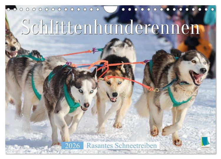 Produktbild: Schlittenhunderennen: Rasantes Schneetreiben (Wandkalender 2026 DIN A4 quer), CALVENDO Monatskalender