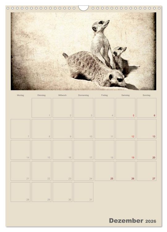 Produktbild: Lustige Erdm&auml;nnchen (Wandkalender 2026 DIN A3 hoch), CALVENDO Monatskalender