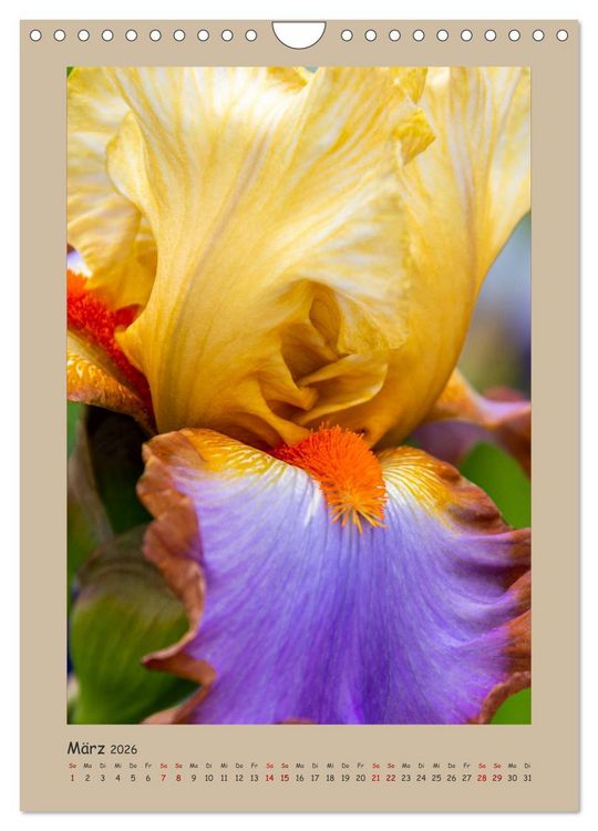 Produktbild: Zauberhafte Iris (Wandkalender 2026 DIN A4 hoch), CALVENDO Monatskalender