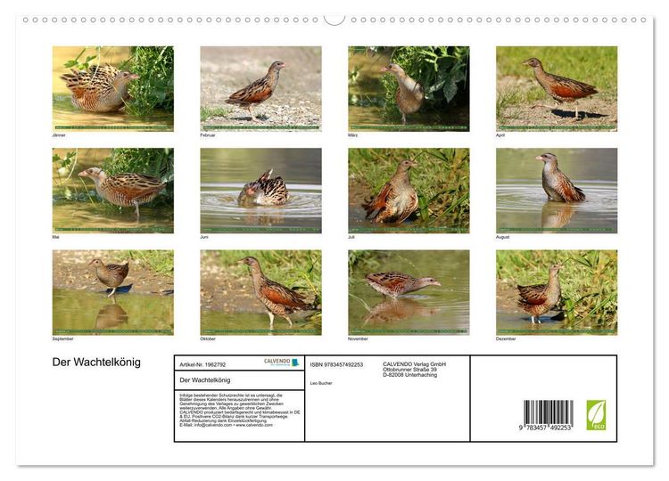 Produktbild: Der Wachtelk&ouml;nig (hochwertiger Premium Wandkalender 2026 DIN A2 quer), Kunstdruck in Hochglanz
