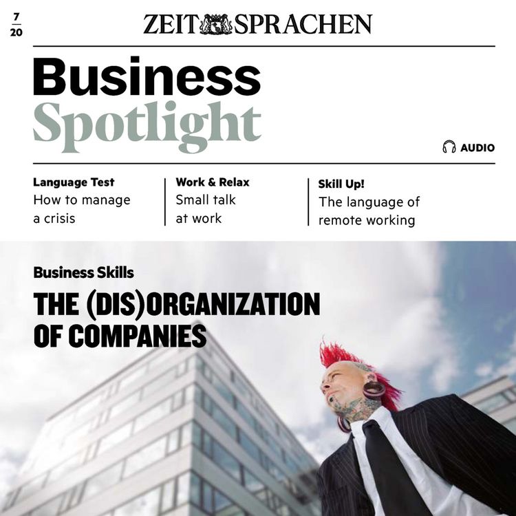 Produktbild: Business-Englisch lernen Audio - The (dis)organization of companies