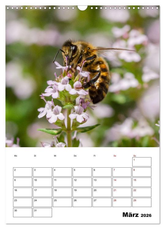 Produktbild: Hummeln und Bienen Terminplaner (Wandkalender 2026 DIN A3 hoch), CALVENDO Monatskalender