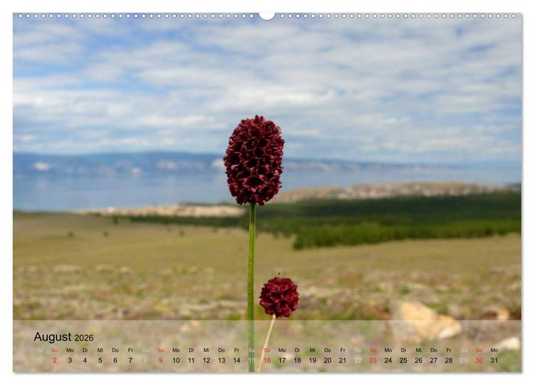Produktbild: Olchon - Insel im Baikalsee (hochwertiger Premium Wandkalender 2026 DIN A2 quer), Kunstdruck in Hochglanz