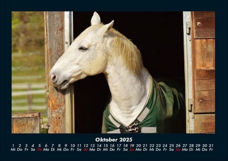 Produktbild: Die Welt der Pferde 2025 Fotokalender DIN A4