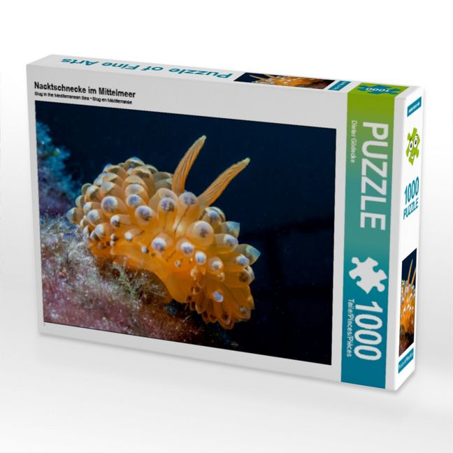 Produktbild: CALVENDO Puzzle Nacktschnecke im Mittelmeer | 1000 Teile Lege-Gr&ouml;&szlig;e 64x48cm Foto-Puzzle f&uuml;r gl&uuml;ckliche Stunden