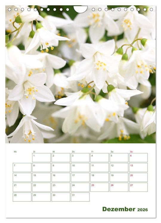 Produktbild: Wei&szlig;e Bl&uuml;ten im Gr&uuml;nen (Wandkalender 2026 DIN A4 hoch), CALVENDO Monatskalender