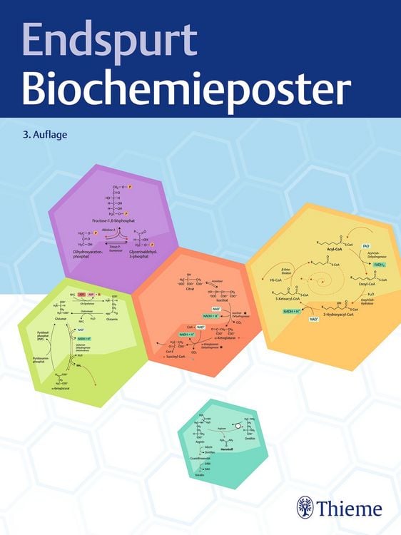 Produktbild: Endspurt Biochemieposter