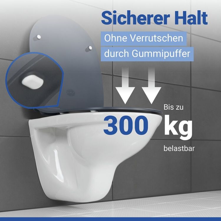 Produktbild: WC Sitz Mod. Sedilo Grau matt, Toilettendeckel in D-Form mit Absenkautomatik