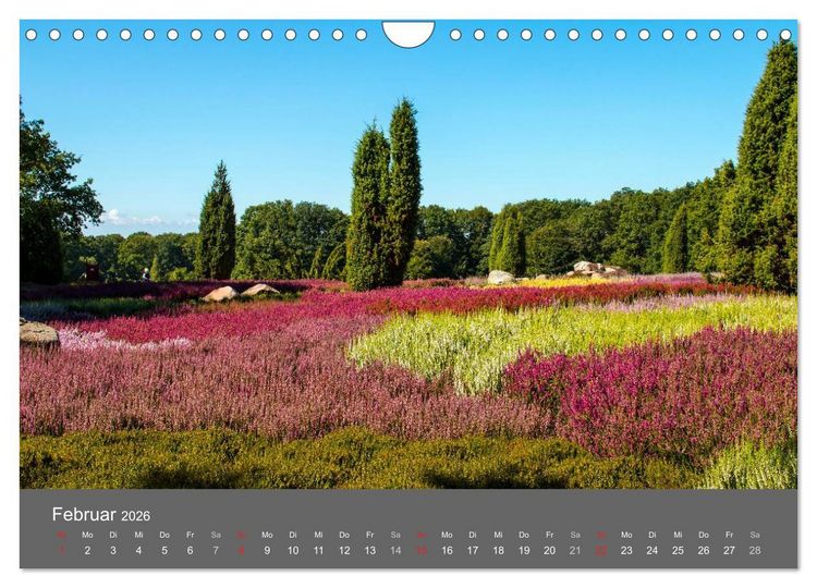Produktbild: Moor- und Heidelandschaften Niedersachsen (Wandkalender 2026 DIN A4 quer), CALVENDO Monatskalender