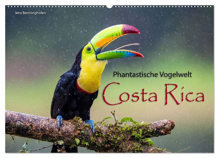 Produktbild: Phantastische Vogelwelt Costa Rica (Wandkalender 2026 DIN A2 quer), CALVENDO Monatskalender