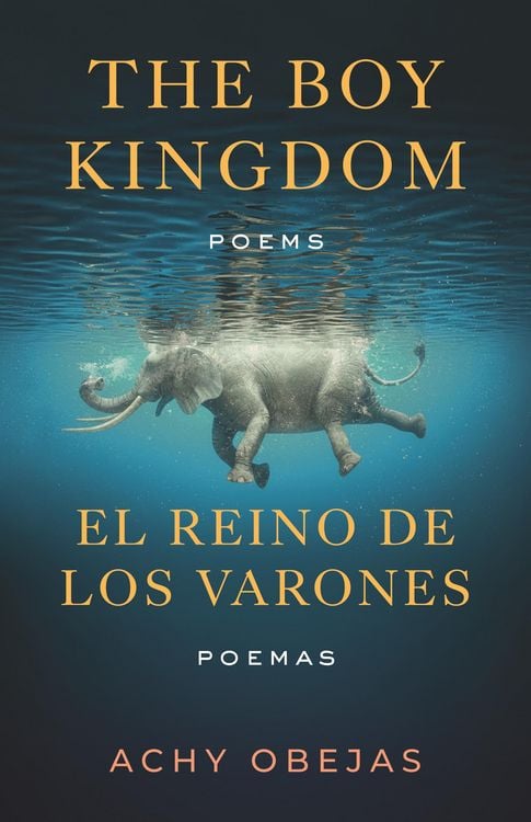 Produktbild: The Boy Kingdom / El reino de los varones