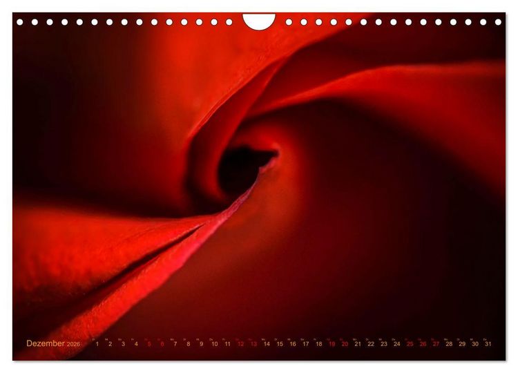 Produktbild: DEEP INSIDE - Bl&uuml;tenmakros (Wandkalender 2026 DIN A4 quer), CALVENDO Monatskalender