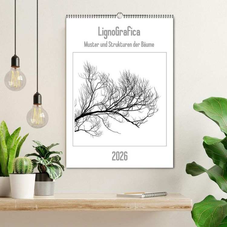 Produktbild: LignoGrafica - Muster und Strukturen der B&auml;ume (Wandkalender 2026 DIN A2 hoch), CALVENDO Monatskalender