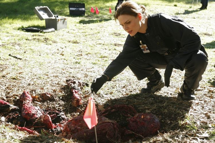 Produktbild: Bones - Season 4 [7 DVDs]
