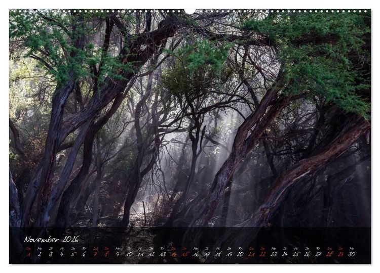Produktbild: Neuseeland - Land der Maori (hochwertiger Premium Wandkalender 2026 DIN A2 quer), Kunstdruck in Hochglanz