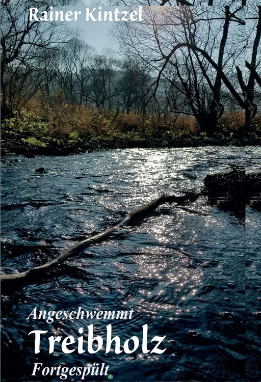 Produktbild: Treibholz