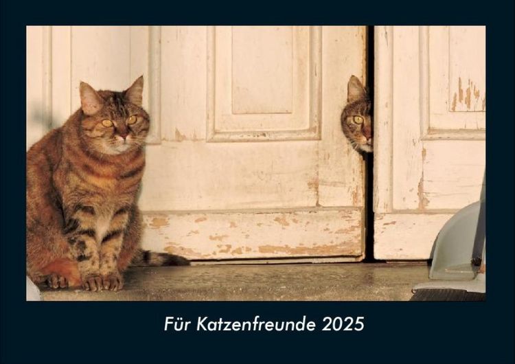 Produktbild: F&uuml;r Katzenfreunde 2025 Fotokalender DIN A4