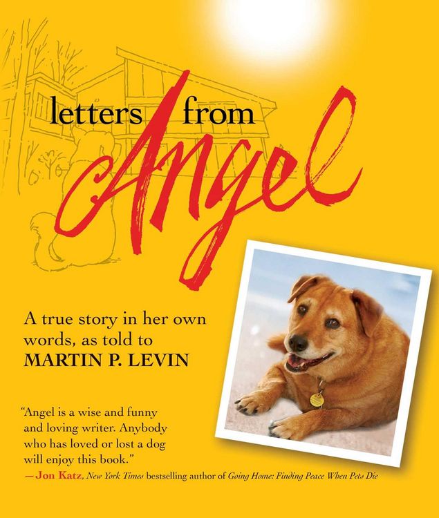 Produktbild: Letters from Angel