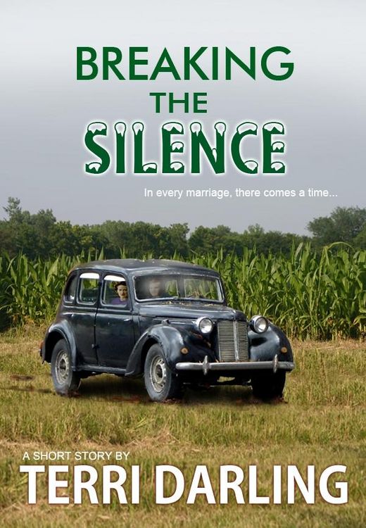 Produktbild: Breaking the Silence