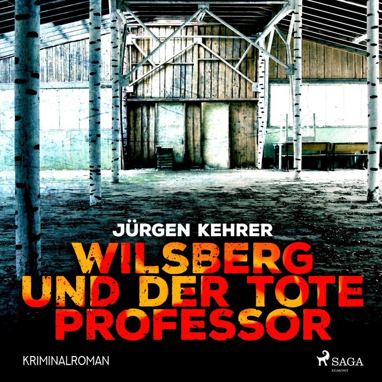 Produktbild: Wilsberg und der tote Professor - Kriminalroman (Ungek&uuml;rzt)
