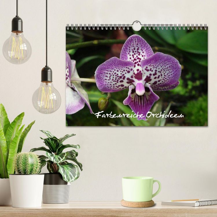 Produktbild: Farbenreiche Orchideen (Wandkalender 2026 DIN A4 quer), CALVENDO Monatskalender