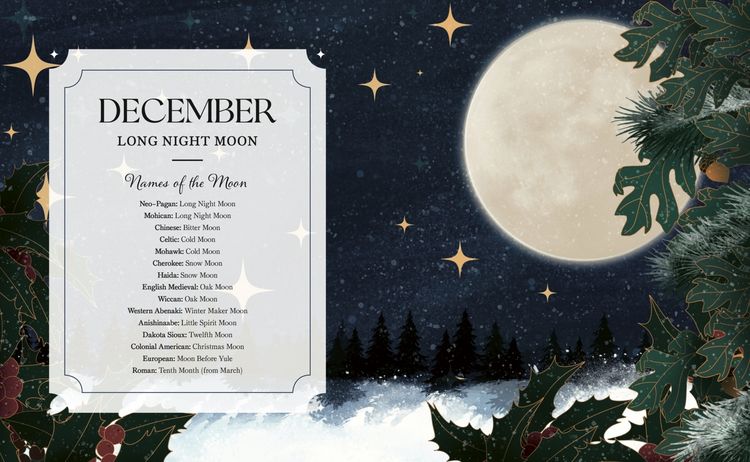 Produktbild: The Full Moon Yearbook
