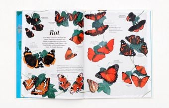 Produktbild: Schmetterlinge