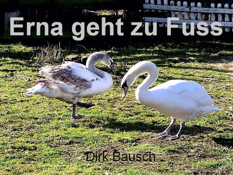 Produktbild: Erna geht zu Fuss