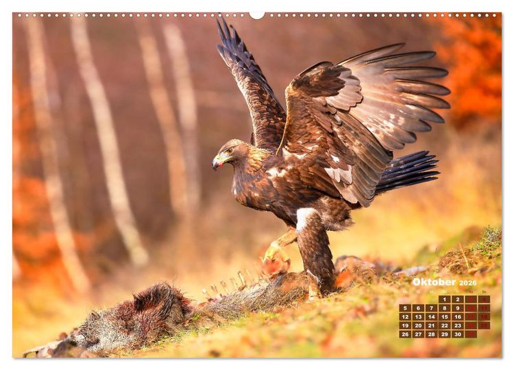 Produktbild: Tiere in freier Wildbahn by VogtArt (hochwertiger Premium Wandkalender 2026 DIN A2 quer), Kunstdruck in Hochglanz