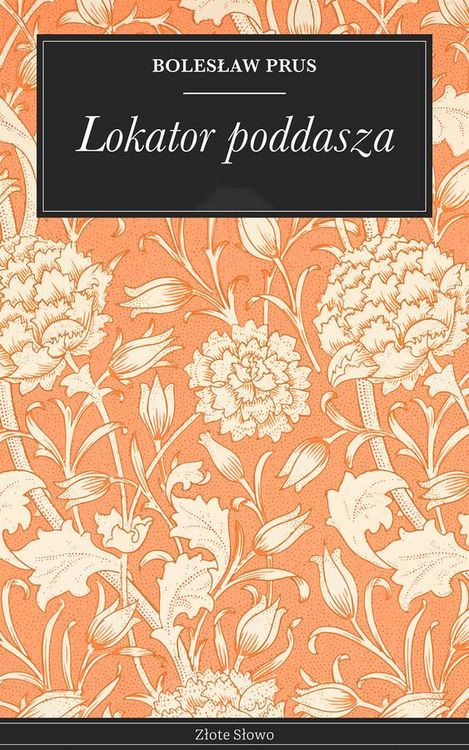Produktbild: Lokator poddasza