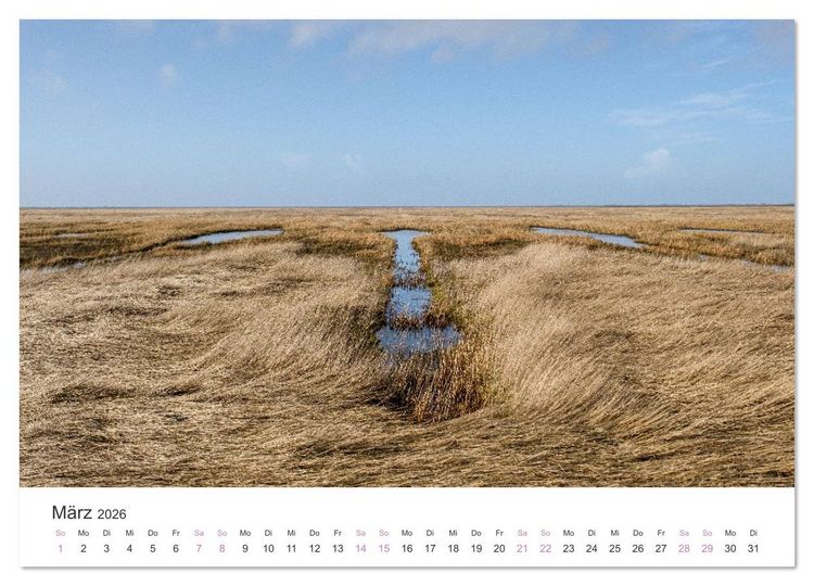 Produktbild: Hamburger Hallig - Der Weg ist das Ziel (Wandkalender 2026 DIN A4 quer), CALVENDO Monatskalender