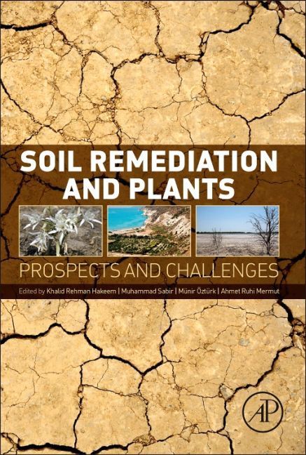 Produktbild: Soil Remediation and Plants