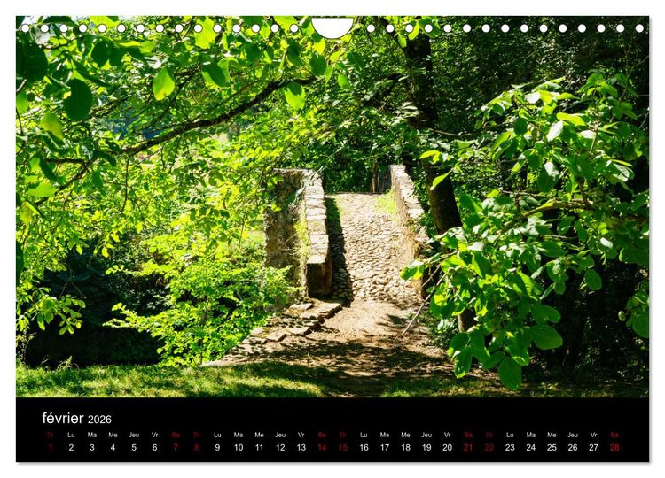 Produktbild: Nature sud de la France (Calendrier mural 2026 DIN A4 vertical), CALVENDO calendrier mensuel
