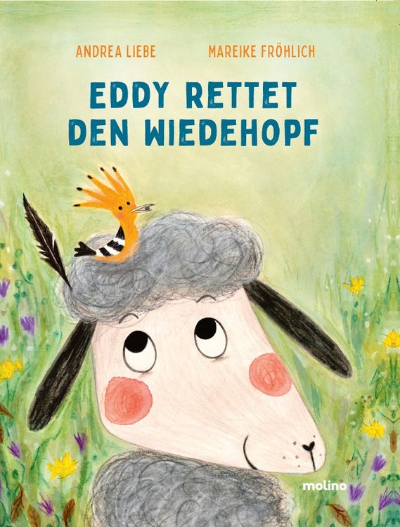Produktbild: Eddy rettet den Wiedehopf