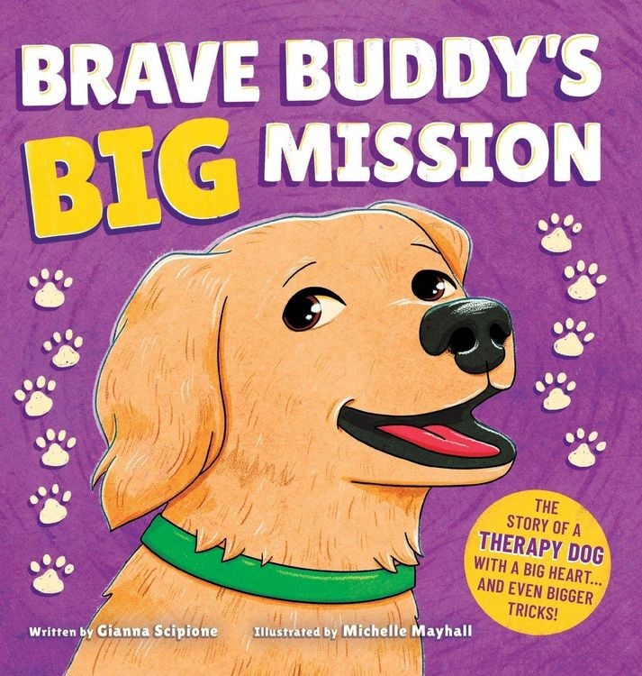 Produktbild: Brave Buddy's Big Mission