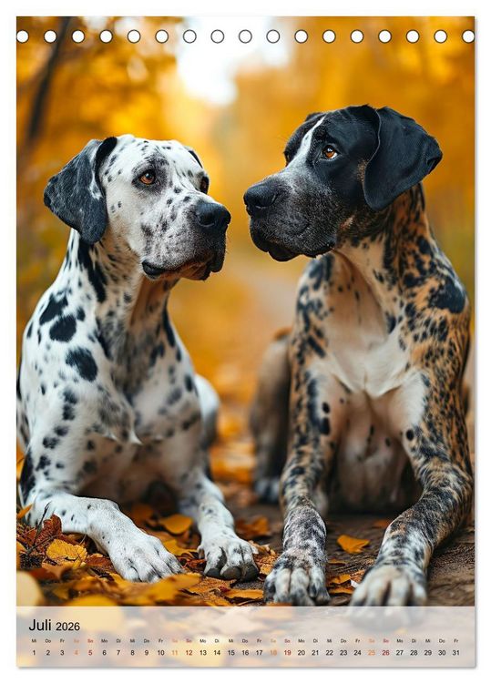 Produktbild: Deutsche Dogge - freundlicher Riese (Tischkalender 2026 DIN A5 hoch), CALVENDO Monatskalender