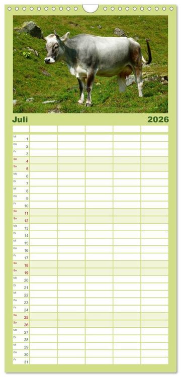 Produktbild: Familienplaner 2026 - Die Welt der K&uuml;he mit 5 Spalten (Wandkalender, 21 x 45 cm) CALVENDO