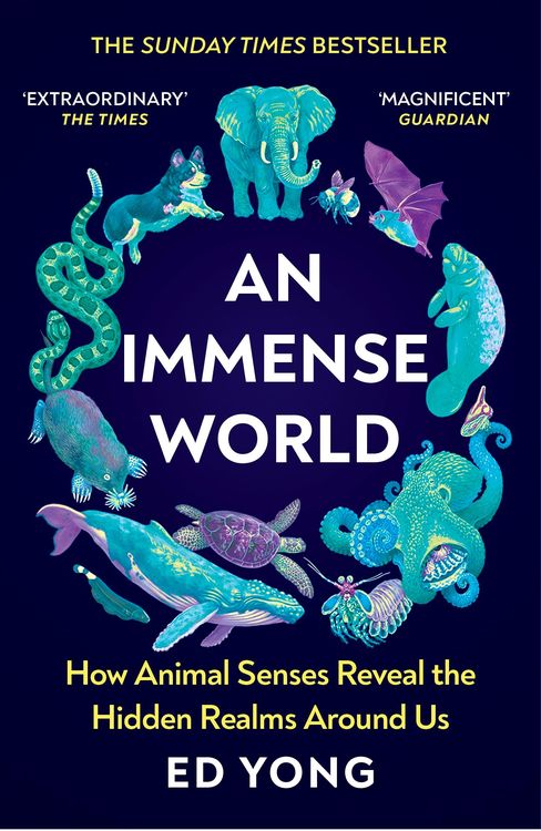 Produktbild: An Immense World
