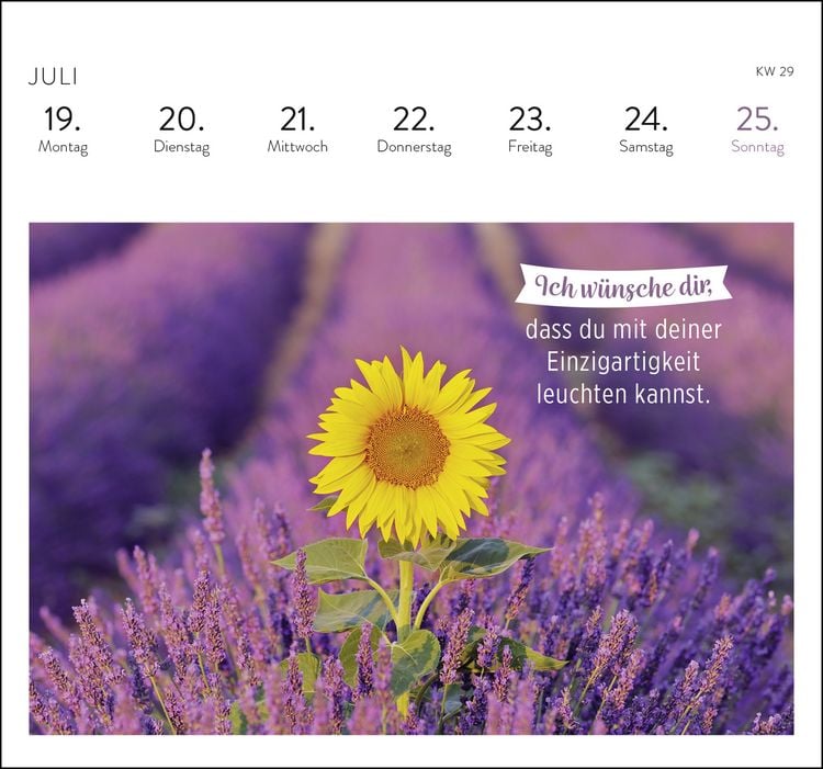 Produktbild: Postkartenkalender 2027: Was ich dir w&uuml;nsche f&uuml;r jeden Tag