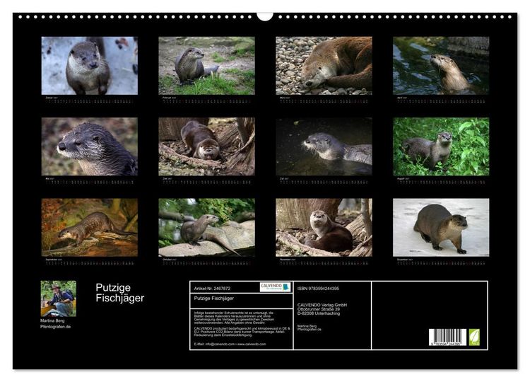 Produktbild: Putzige Fischj&auml;ger (Wandkalender 2027 DIN A2 quer), CALVENDO Monatskalender