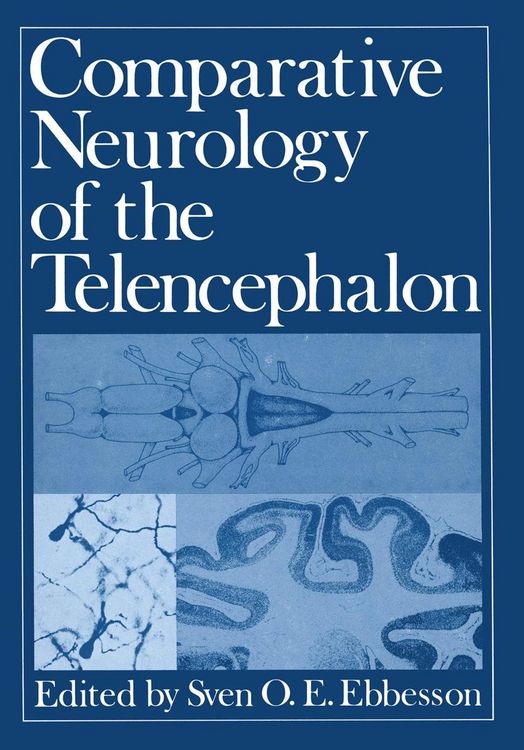 Produktbild: Comparative Neurology of the Telencephalon