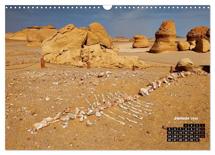 Produktbild: &Auml;gypten &ndash; westliche W&uuml;sten (Wandkalender 2026 DIN A3 quer), CALVENDO Monatskalender