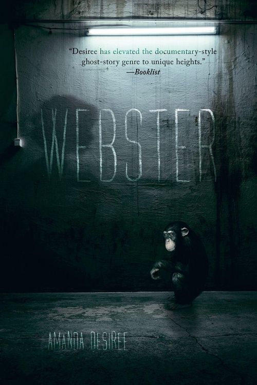Produktbild: Webster