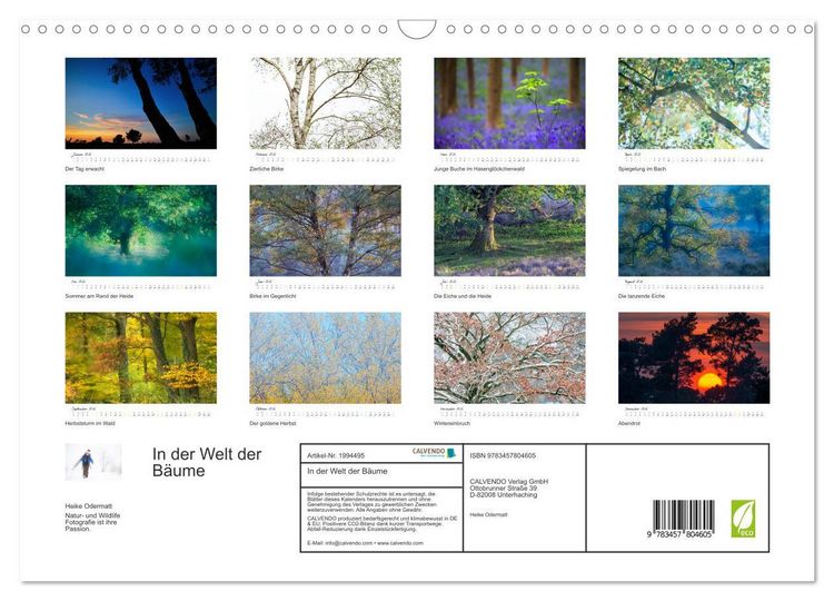 Produktbild: In der Welt der B&auml;ume (Wandkalender 2026 DIN A3 quer), CALVENDO Monatskalender