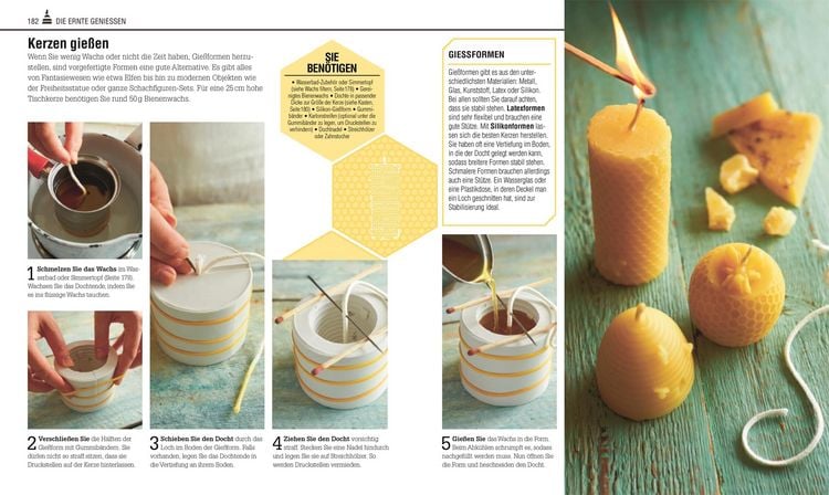 Produktbild: Das Bienen Buch