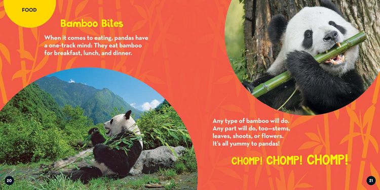 Produktbild: Go Wild! Pandas