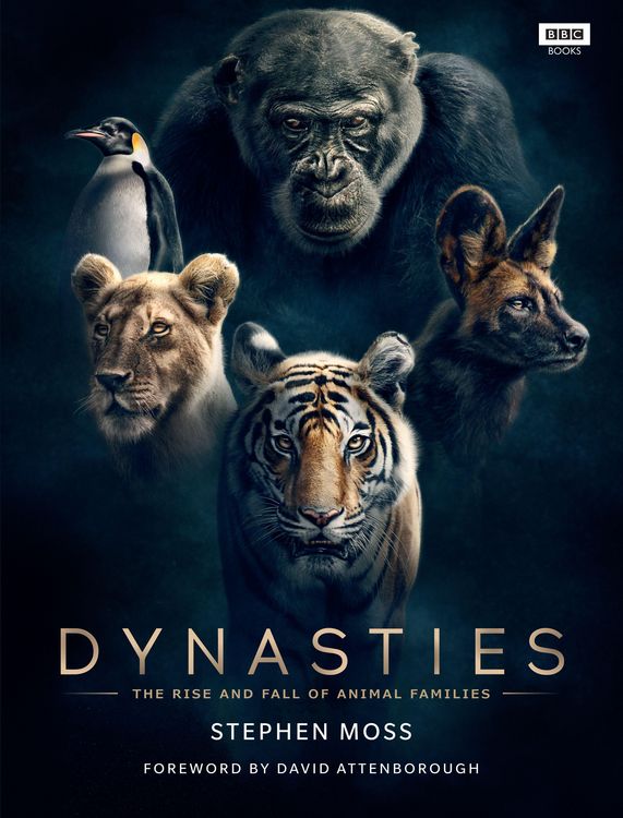 Produktbild: Dynasties