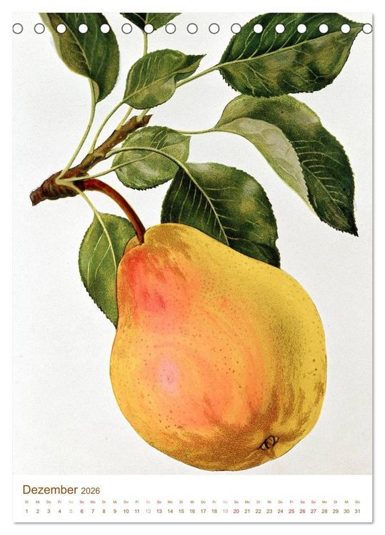 Produktbild: Obstb&auml;ume: Botanische Zeichnungen und historische Stiche (Tischkalender 2026 DIN A5 hoch), CALVENDO Monatskalender